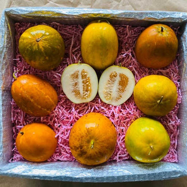 Dosakai Melon Box
